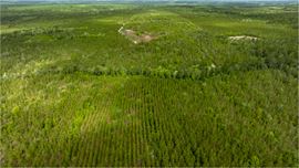 Timber Ridge Farm - Timberland Package