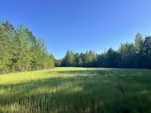 Mt. Willing Reserve