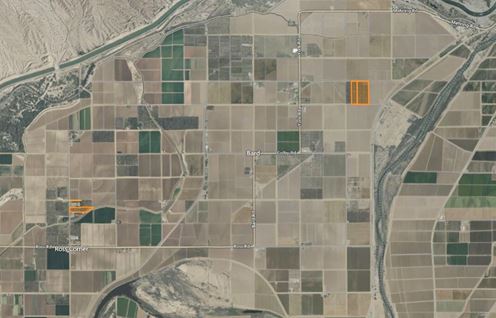 ±36.41 Acres of Medjool Dates