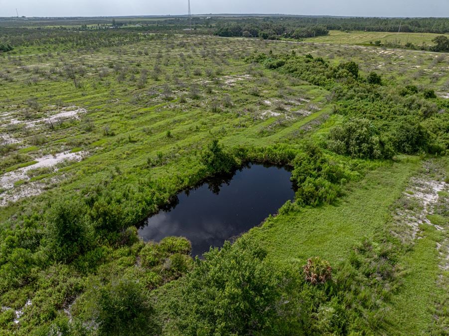 Lake Reedy Reserve