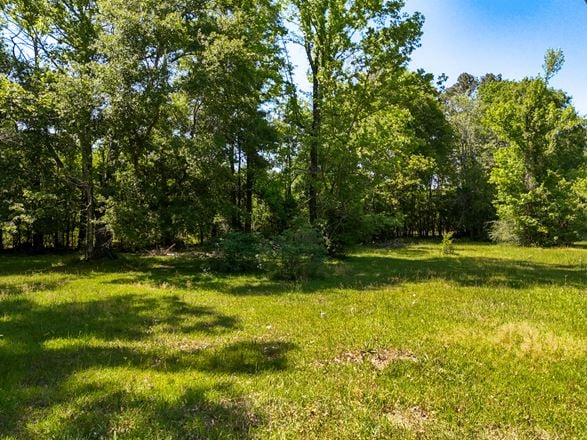 Corner Acreage with Development Potential Near I-12