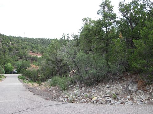 Beaver Ln