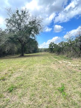 Weirsdale 30 Acre Tract