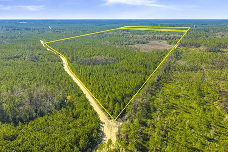VacantLand space for Sale at 0 George's Lake Road  in Keystone Heights
