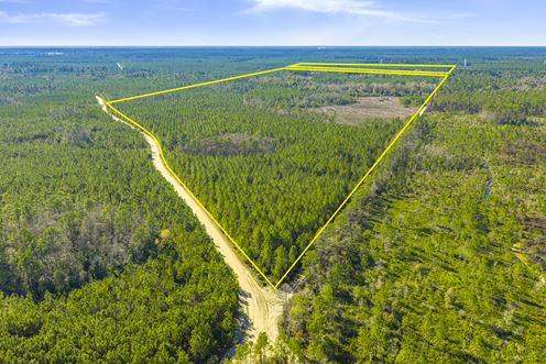 Clay County Timber and Recreation