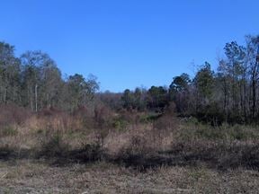 203 Acres in Valdosta