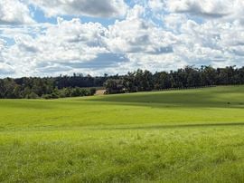 Lake Rachel Ag Land