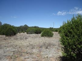 152 Jesse James Rd