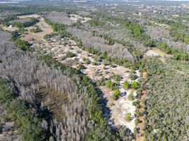 Haines City Recreational/Transitional Land