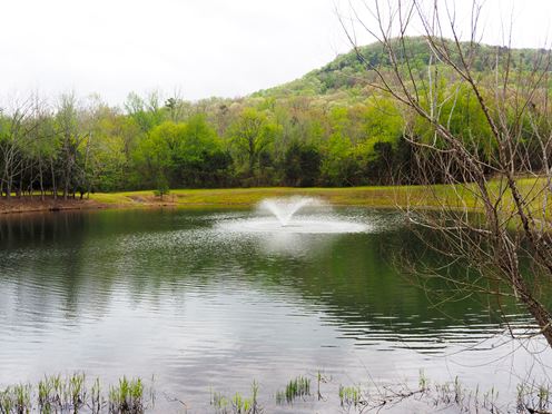Lot at Rivers Edge