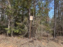 Garland Belmont Tract