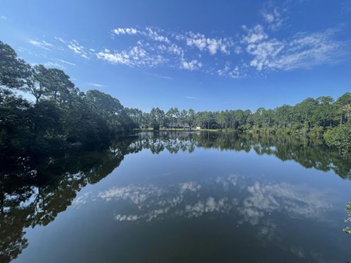 18 Acres with Lake for Sale