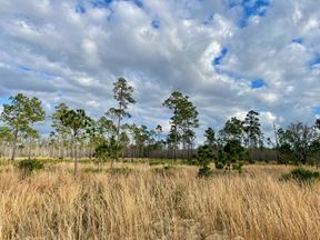Old Florida Ranch Recreational Land