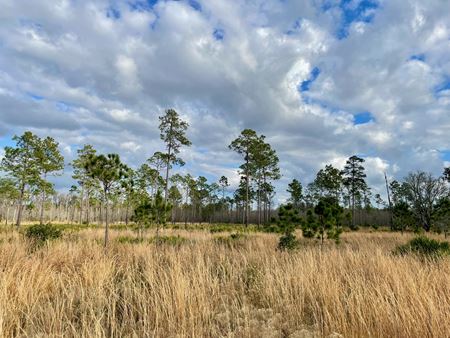 Photo of commercial space at SE corner of US 41 & SR 52 in Pasco County