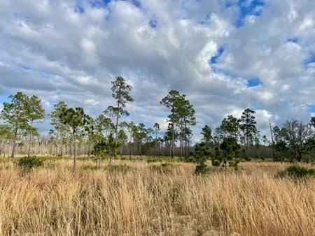 Photo of commercial space at SE corner of US 41 & SR 52 in Pasco County