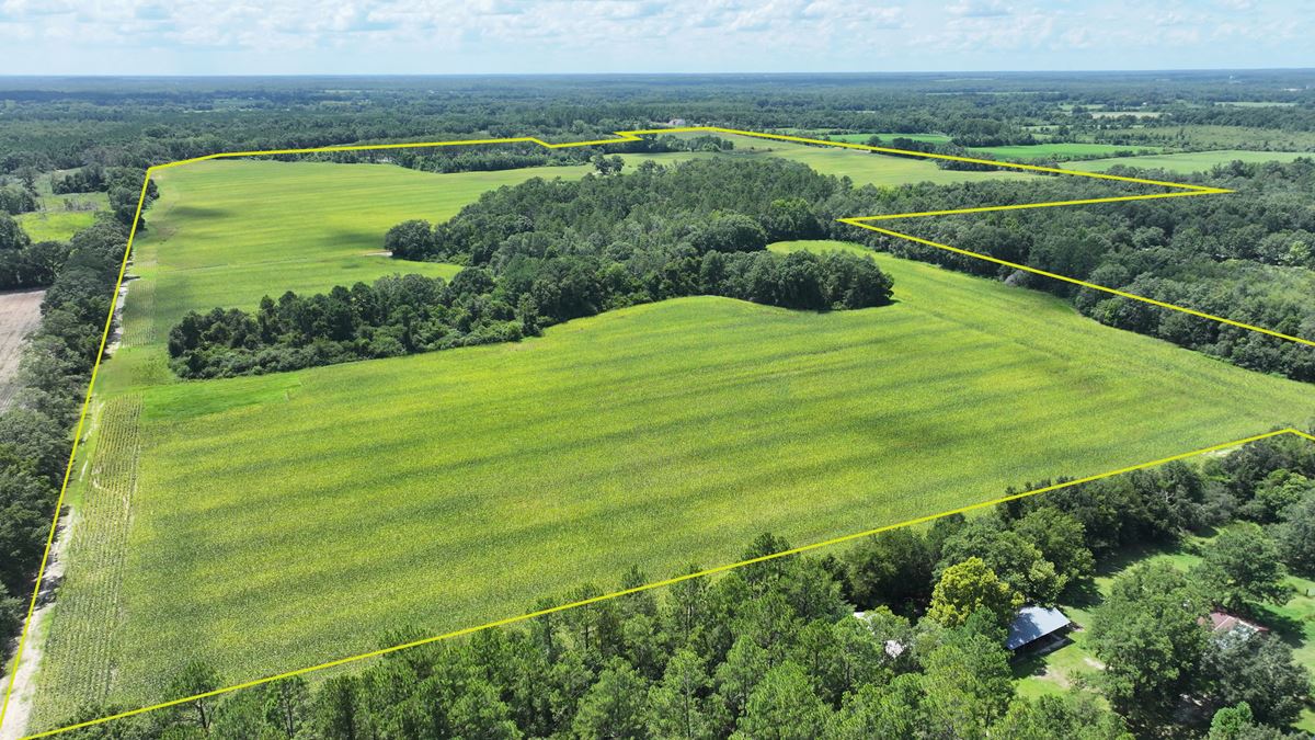 Graceville Duck Pond Farmland