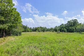11504 N Dowling Road