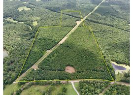 Brady Road Hunting Tract