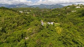 18.36 Acre Agricultural Land @ Ponce, Canas Ward - For Sale