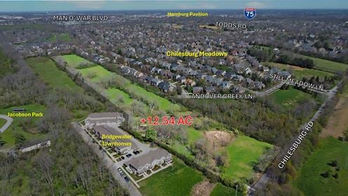 +/-12.54 AC Chilesburg Land