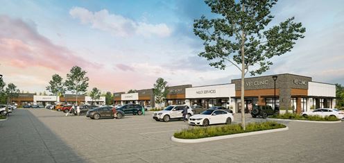 Village 290 - Phase II