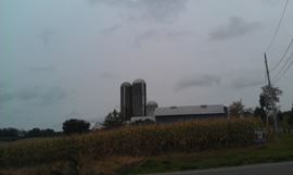 Large Land Parcel Goshen