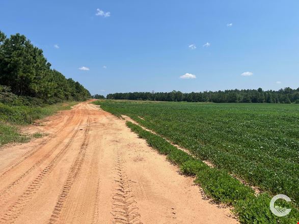 226 +/- Acre Investment Opportunity in Brewton, AL