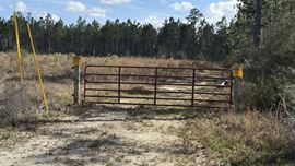 20-Acre  in Altha, Fl -AG Zoned with Development Potential