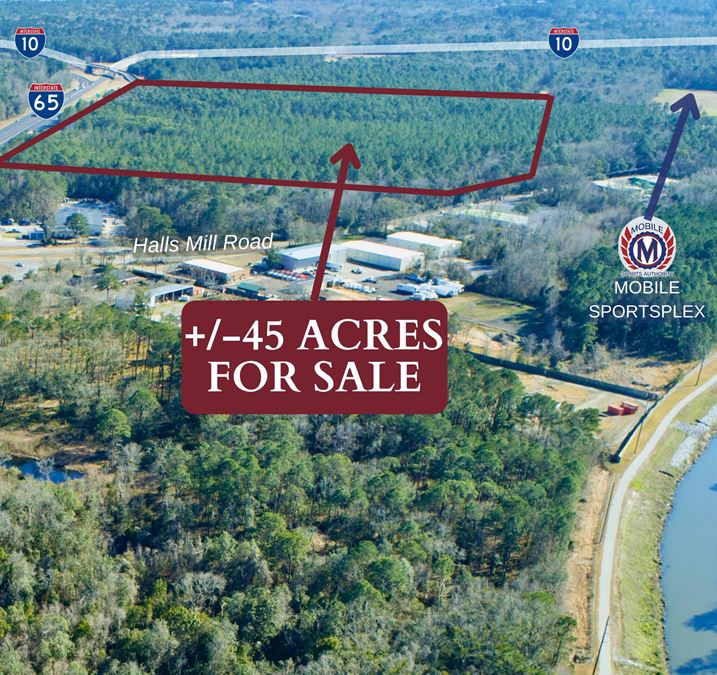 +/-45 Acres between Halls Mill Road & I-65