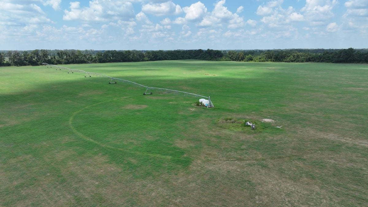 Suwannee County Quarter Section Farm