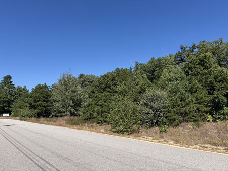 VacantLand space for Sale at Hall Rd in Canterbury