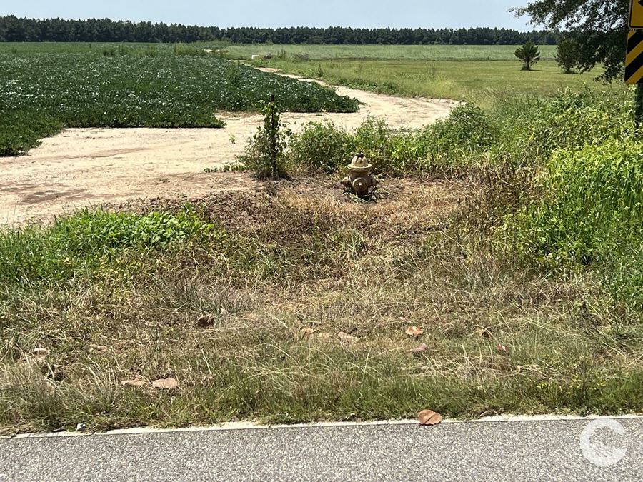 226 +/- Acre Investment Opportunity in Brewton, AL