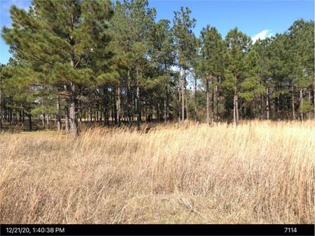Other space for Sale at US Highway 19 S in Leesburg