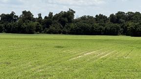 19± Acres in Bascom, FL – Ideal Homesite or Hobby Farm