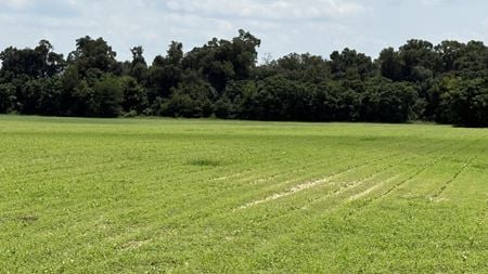 VacantLand space for Sale at Malibu Rd in Bascom