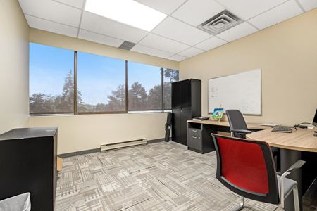 Phase I, Suite 203 Space Photo Gallery 5