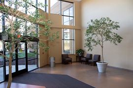 Class A First Floor Office Space-2501 Woodlake