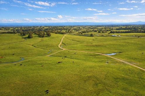 Nine Mile Hill Ranch Red Bluff