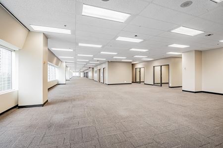 1205 Galerie de photos de l'espace 1