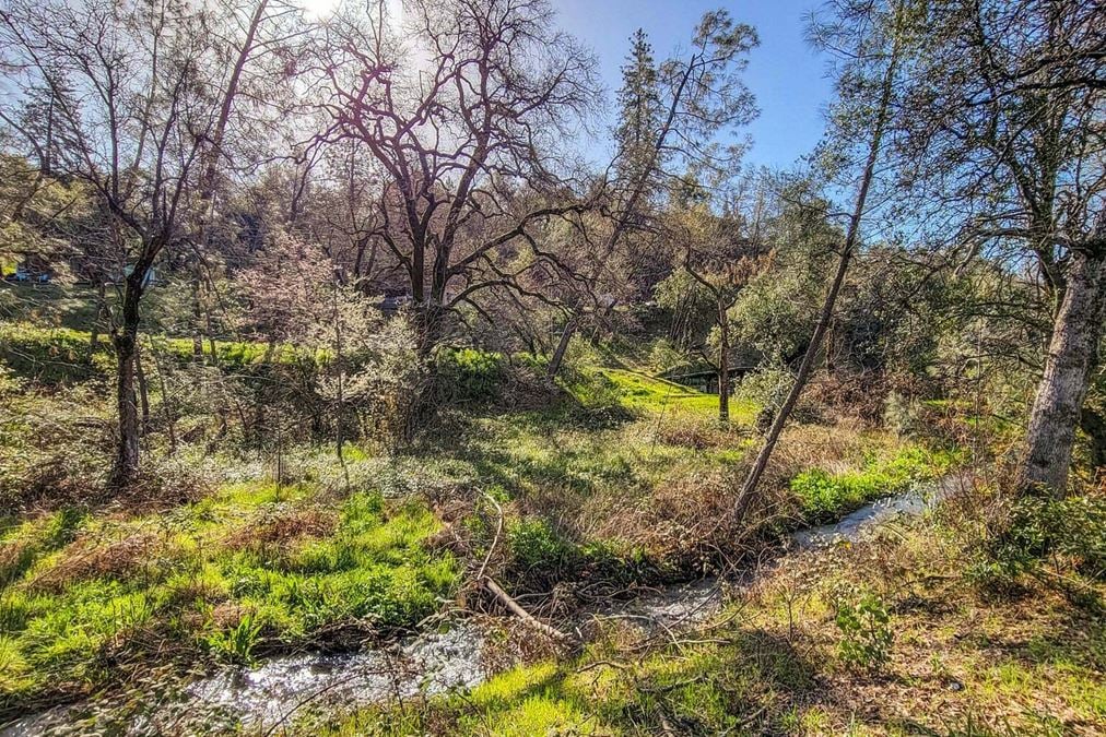 ±0.208 AC Cul-De-Sac Land in Jones Valley