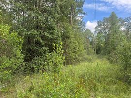 22290 Old Hwy 49
