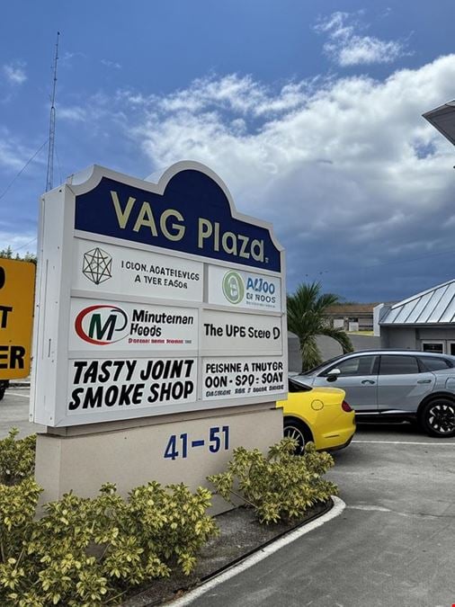 Vag Plaza