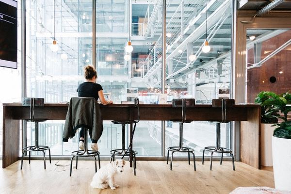 Office Freedom | South Grant Street