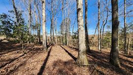 Block 107 North Hunting & Timber