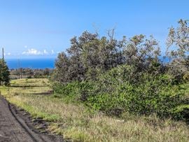 Lehua Court