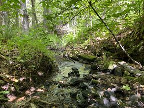 Goochland Land