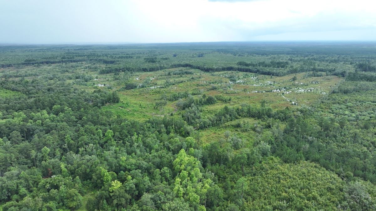 Camden Satilla River Tract