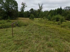 Craig Hill Hunting & Timber Tract