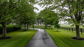 24893 State Route 62