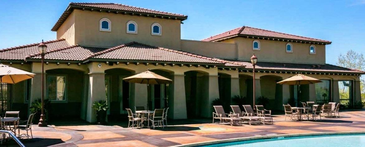 The Phoenician